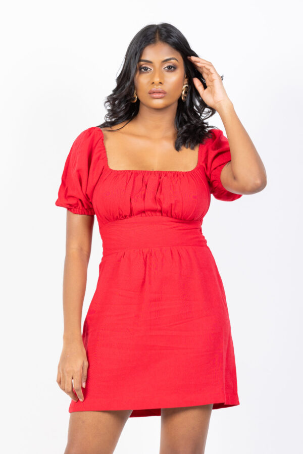 Scarlet Tie Back Mini Dress