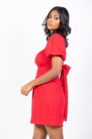 Scarlet Tie Back Mini Dress