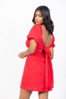 Scarlet Tie Back Mini Dress